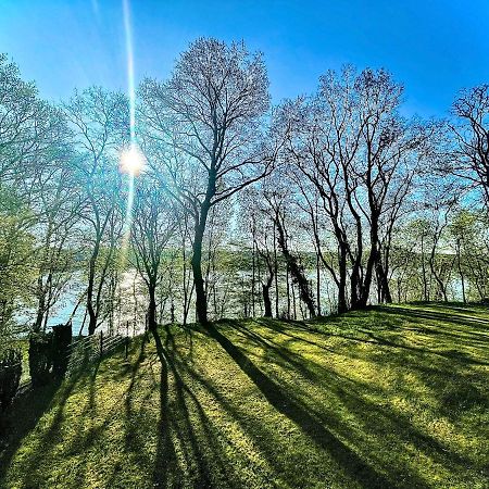 100M2 Fewo Im Haus Am See Mit Garten Bei Potsdam Schwielowsee Eksteriør bilde